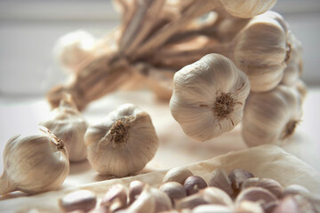 Closeup Bunch of Garlic bulb and garlic cloves on white table in the kitchen with natural light