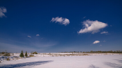 winter landscape