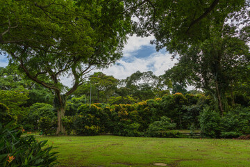 シンガポールの街中の公園
