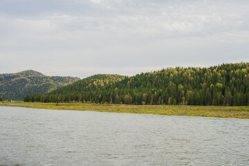 travel through the Siberian forests at different times of the year

