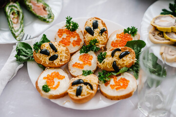 Light snacks in a plate on a buffet table. Assorted mini canapes, delicacies and snacks, restaurant food at event. A gala reception. Decorated delicious table for a party goodies.