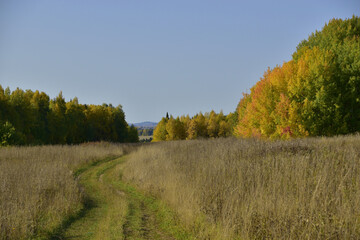Obraz premium A field road among the unmown dry grass of an autumn field. Sunny autumn days in the foothills of the Western Urals.