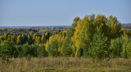 Fototapeta premium Bright autumn colors of the Ural taiga. Sunny autumn days in the foothills of the Western Urals.