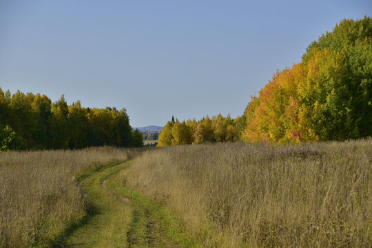 A field road among the unmown dry grass of an autumn field. Sunny autumn days in the foothills of the Western Urals.