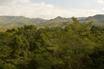 Obraz premium The Mayan ruins in the temple city of Copan in the jungle of Honduras, Central America