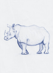 Scribble drawing of a rhinoceros with blue ballpoint pen on white paper.