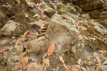 Fototapeta premium The Mayan ruins in the temple city of Copan in the jungle of Honduras, Central America