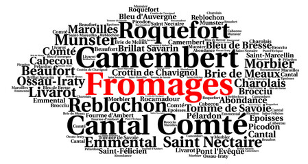  French cheeses word cloud concept