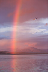 Fototapeta na wymiar Amazing summer sunset with rainbow over water and mountains. A seagull flies in the evening sky. The beautiful nature of the Arctic. Picturesque landscape. Anadyr estuary, Chukotka, Far East of Russia