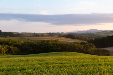 10月美瑛パッチワークの丘夕景