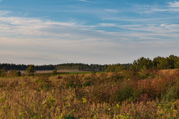 10月美瑛の冬支度