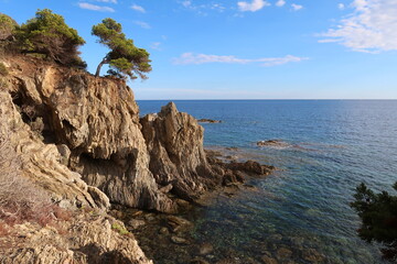 Fototapeta na wymiar Paysage de côte sur la presqu’île de Giens à Hyères, avec un arbre au sommet d'une falaise au bord de la mer Méditerranée (France)