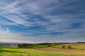 10月の空美瑛の大地
