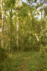 The beaches, jungles and Mayan temples of Honduras, Central America