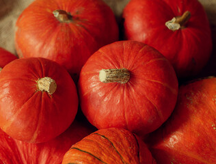 harvest season. Orange pumpkins on the table. Vegetarian menu.