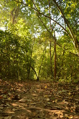 The beaches, jungles and Mayan temples of Honduras, Central America