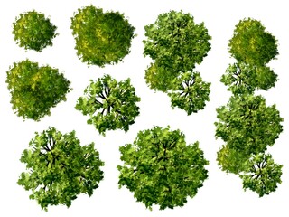 Collection of abstract watercolor green tree top view isolated on white background  for landscape plan and architecture layout drawing, elements for environment and garden.  