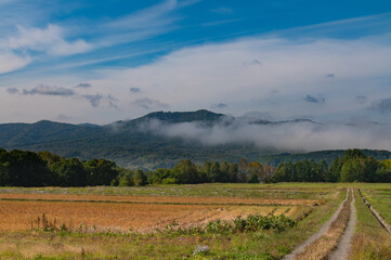 朝霧晴れゆく美瑛田園風景