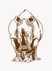 Vector rhino, sepia background,vector illustration