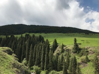 landscape in the mountains