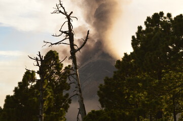 Sunrise hiking on Volcan Acatenango while watching the volcano Fuego erupting in Guatemala