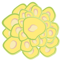 
A flat icon vector of cnidaria coral reef
