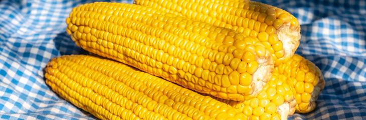 corn on blue
