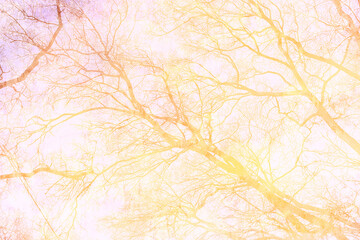 Obraz na płótnie Canvas Abstract background autumn park yellow vintage old