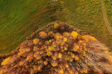 autumn forest landscape, view from a drone, aerial photography viewed from above in October park