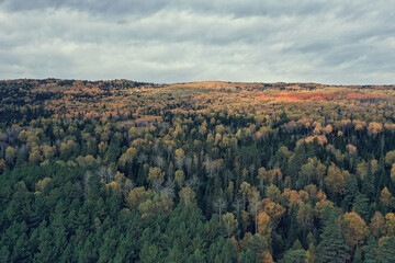 autumn forest landscape, view from a drone, aerial photography viewed from above in October park