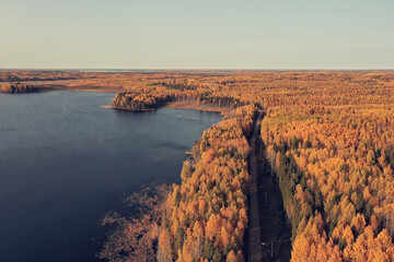 landscape top view, river autumn forest drone, beautiful journey