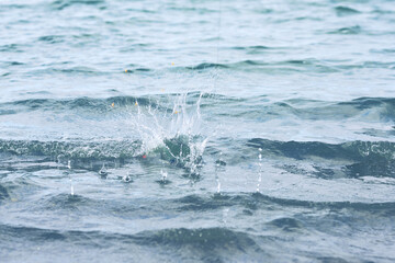 feeding the point with a rocket where the carp is