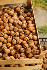 Closeup of autumn harvest of ripe walnuts gathered in boxes outdoors