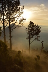 Sunrise hiking and camping on the top of the active Volcan Acatenango while the Volcano Fuego is erupting - Guatemala