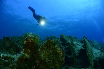 Fototapeta premium Underwater modeling. Bodrum, Muğla / Turkey.