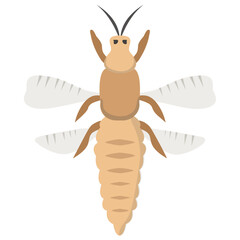 
An insect having legs and little wings  bee 
