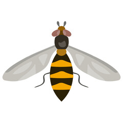 
An insect having legs and little wings  bee 
