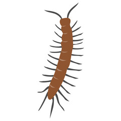 Icon of a small insect having small legs, centipede