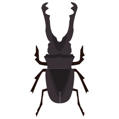 
Stag beetle with two arms containing sting

