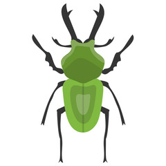 
Stag beetle with two arms containing sting
