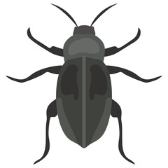 
Stag beetle with two arms containing sting
