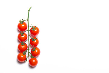 Cherry tomatoes branch isolated on white background . Red tomato. Tomatoes on a branch. Isolated background. Article about vegetables. Decoration. Copy space.