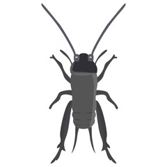 
Stag beetle with two arms containing sting
