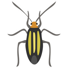 
Stag beetle with two arms containing sting
