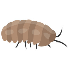 
A insect having legs with depicting beetle 
