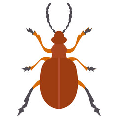 
Stag beetle with two arms containing sting
