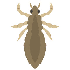
Stag beetle with two arms containing sting
