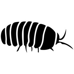 
A insect having legs with depicting  beetle 
