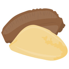 
Cedar nut with shell healthy for diet 
