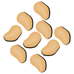 
Round seeds in brown color are macadamia seeds 
